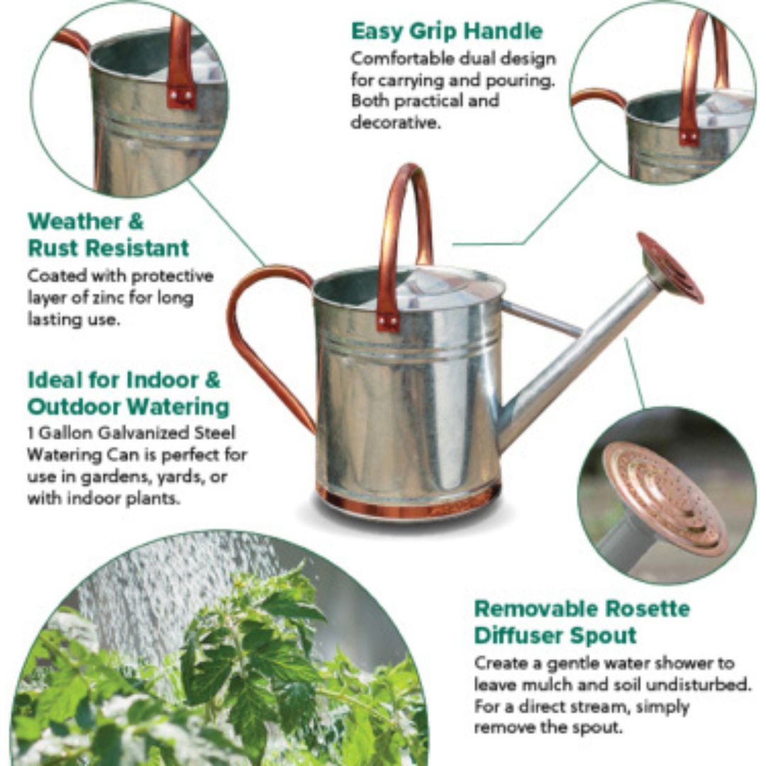 Watering Can – Steel/Copper – 1 Gal